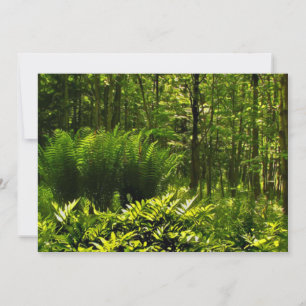 Convite de festas verde selvagem do solstício de