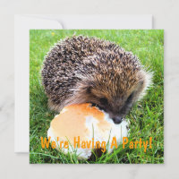CONVITE DE HEDGEHOG CUTA