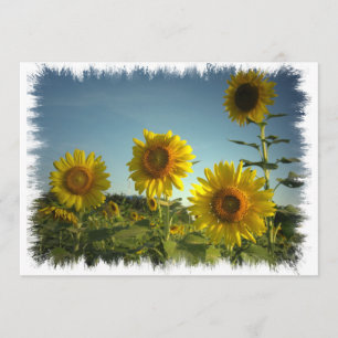 Convite de jardinagem orgânico