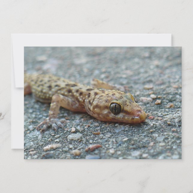 Convite de Lizard (Frente)