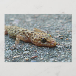 Convite de Lizard