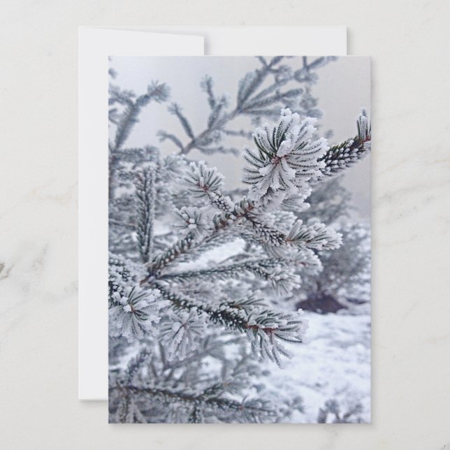 Convite de Natal, árvore de Natal debaixo da neve (Frente)