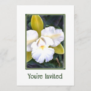 Convite de Orquídeas Cattleya Verdes e Brancas
