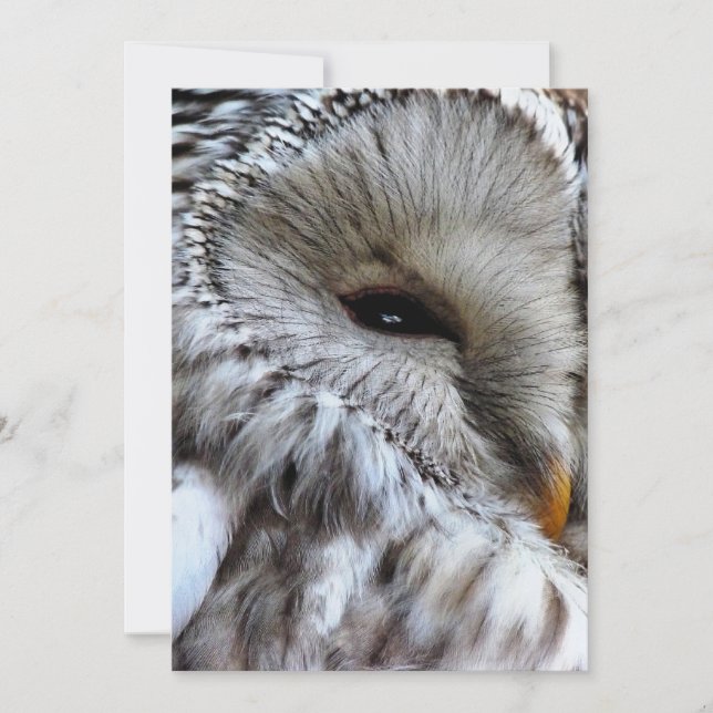 CONVITE DE OWLS (Frente)