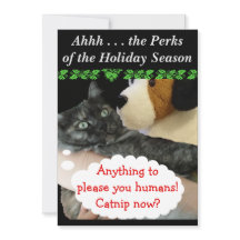 Convite de Partido Relaxado (Cat) por RoseWrites