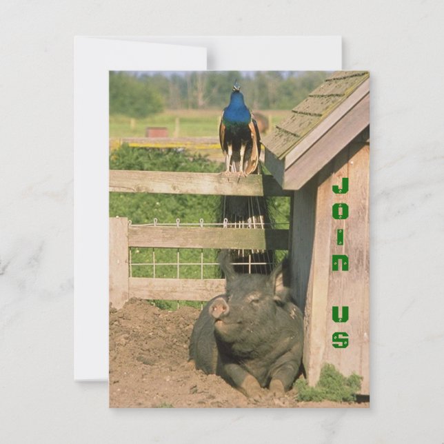 CONVITE DE PAZ E HOG DA FUN BARNYARD FAZENDA (Frente)