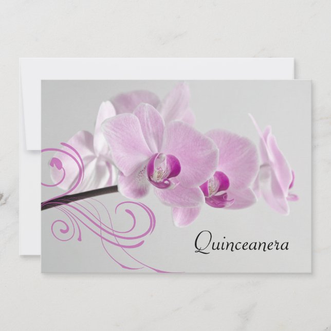 Convite de Quinceanera para a Elegância Orquídea R (Frente)