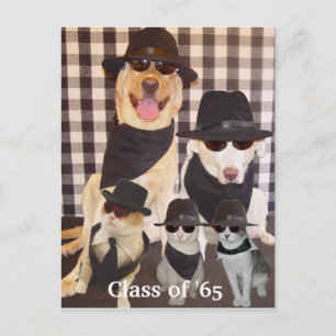 Convite de Reunião de Classe