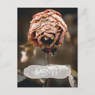 Convite de RSVP para Festa de Divórcio com Foto