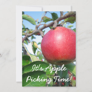 Convite de Tempo de Colheita