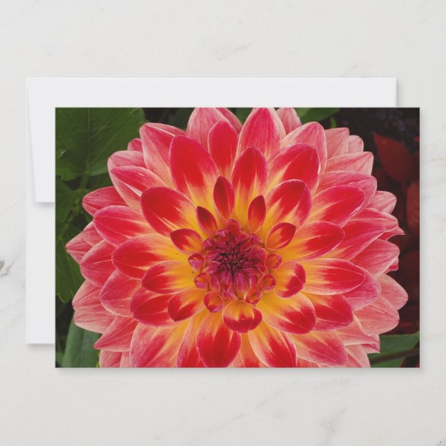 Convite de vazio dobrado (Frente)