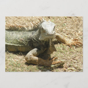 Convite do lagarto da iguana