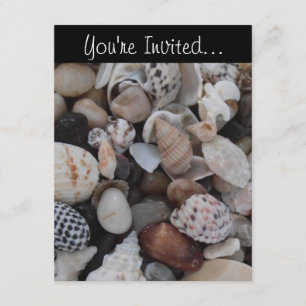 Convite do Seashell