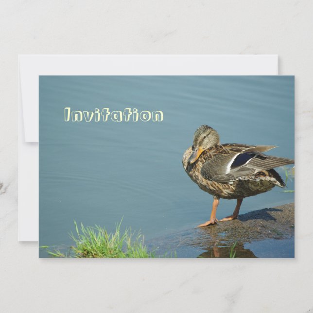 Convite Duck (Frente)