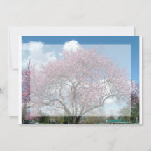 convite em branco, árvore de flor de cerejeira