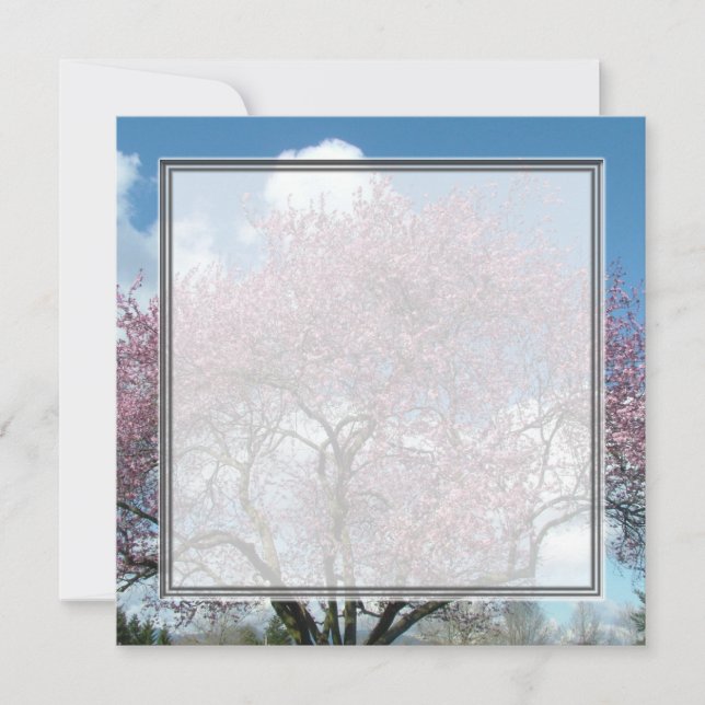convite em branco, árvore florescendo cerejeira (Frente)