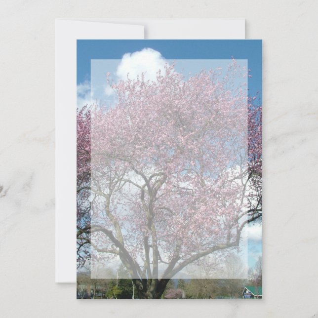 convite em branco, árvore florida de cerejeira (Frente)