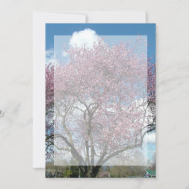 convite em branco, árvore florida de cerejeira