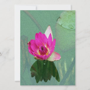 convite em branco flor de lírio de água rosa