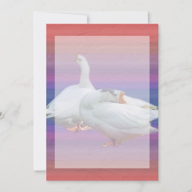 convite em branco, todos os propósitos (Frente)