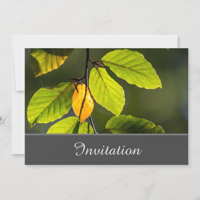Convite Enfeitiçante com Folhagem Colorida (Frente)