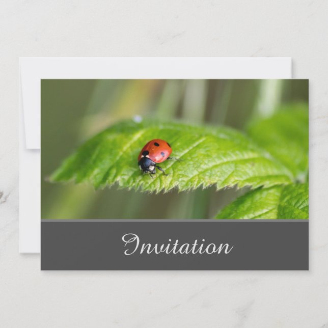 Convite Enfeitiçante com Joaninha (Frente)