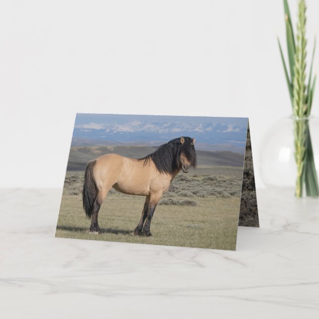 Convite "Fallen Star in Front of the Wind River Mountains" (Frente)