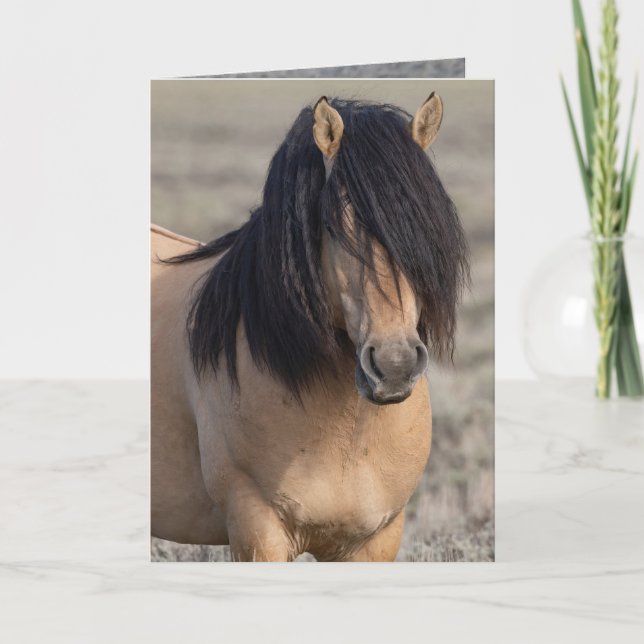 Convite Fallen Star's Portrait Greeting Card (Frente)