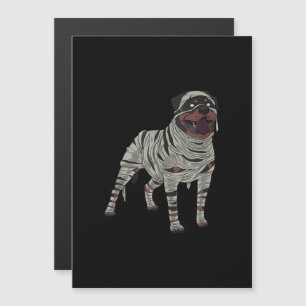 Convite Fantasias de Halloween de Mumificação de Cachorro