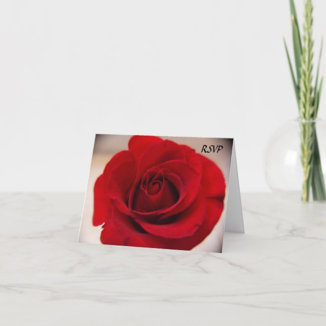 Convite Feche acima da rosa vermelha RSVP (Frente)