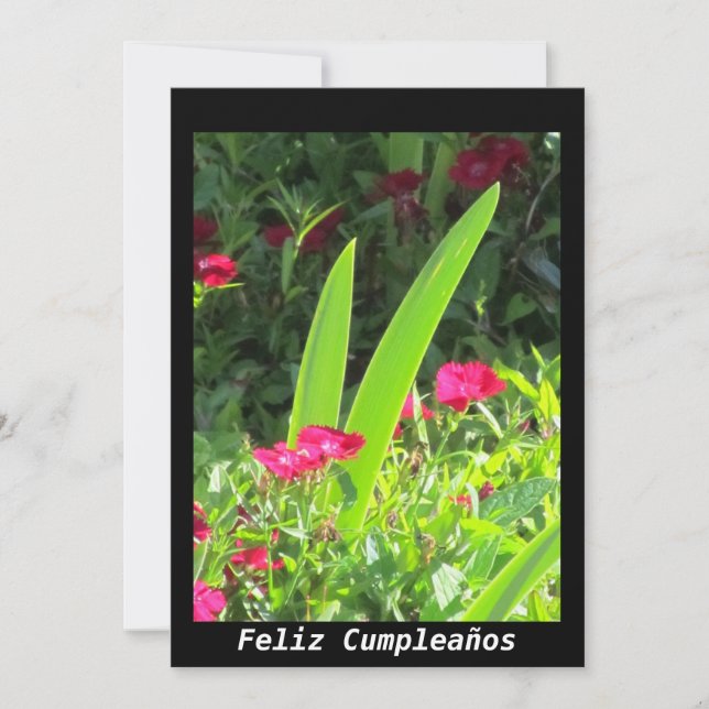 Convite - Feliz Cumpleaños - Flores Rosa (Frente)