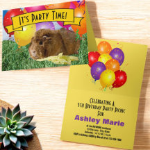 Festa de Aniversário Infantil de Animal Porquinho-