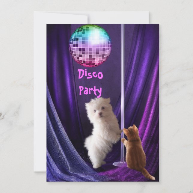 Convite Festa Disco Cachorro Gato Maltês Filhote (Frente)