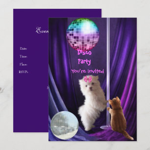 Convite Festa Disco Cachorro Gato Maltês Filhote