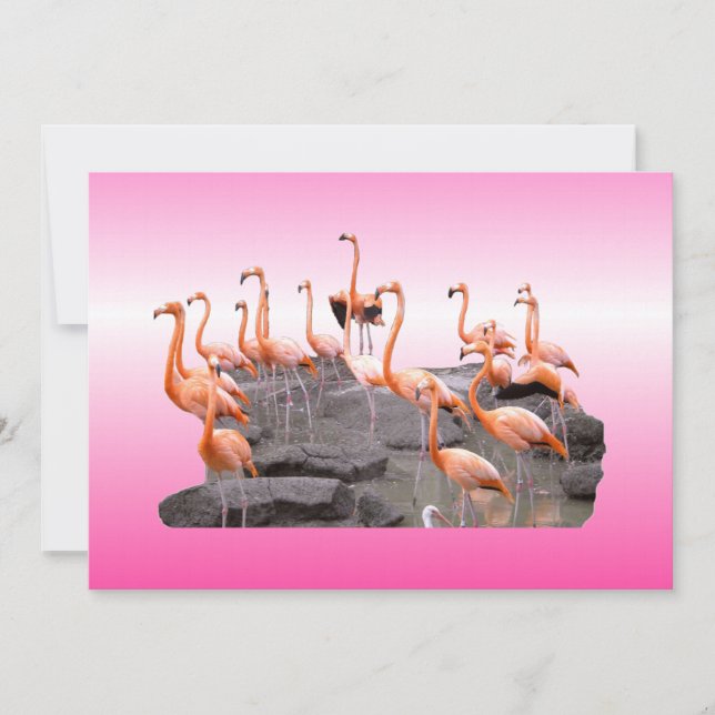 Convite Flamingo Rosa (Frente)