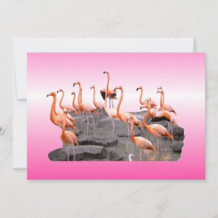 Convite Flamingo Rosa
