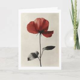 Convite Flor Vermelha Solitária