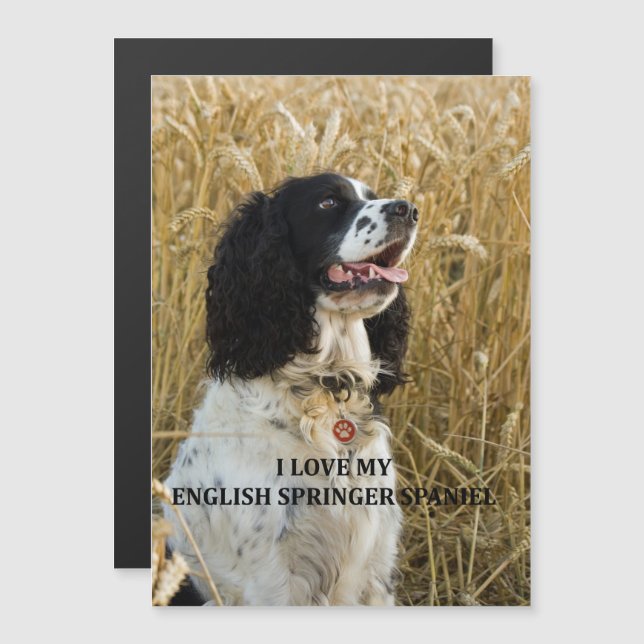 Convite gafe inglês spaniel bwlove w pic (Frente/Verso)
