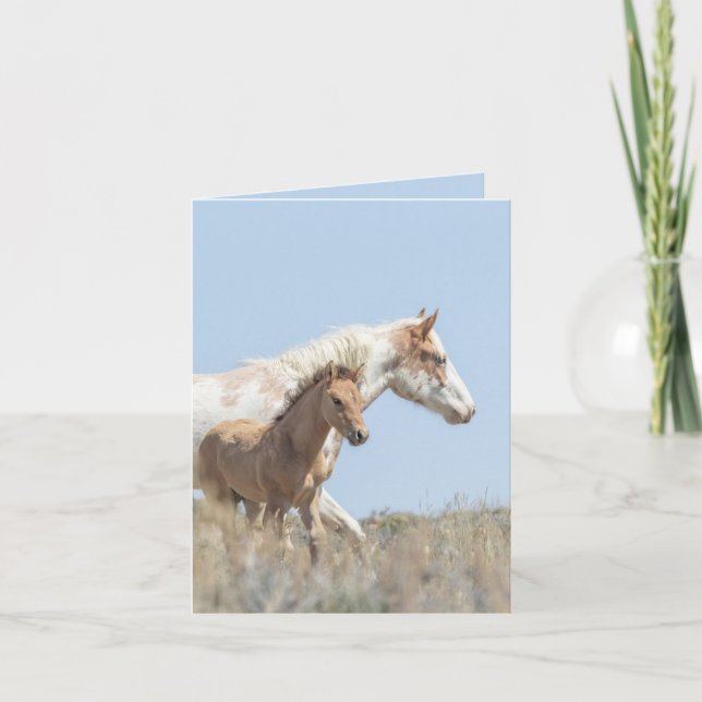 Convite Galetea e Foal Willy Horse Greeting Card (Frente)