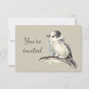 Convite Geral Personalizado Gray Grey Jay O Pássar
