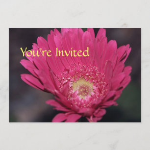 Convite Gerbera em Flor