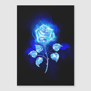 Convite Gravação de Rosa Azul