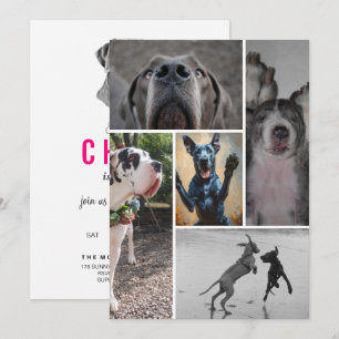 Convite Great Dane
