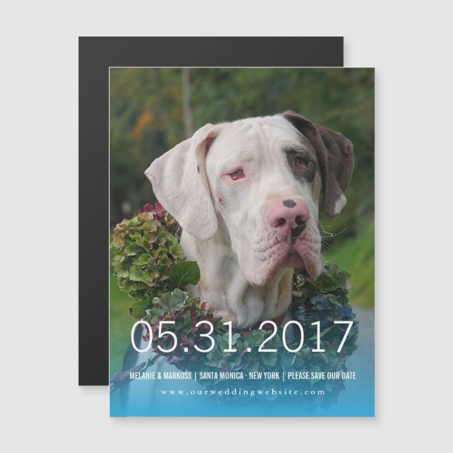 Convite Great Dane (Frente/Verso)