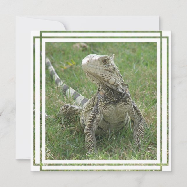 Convite Iguana (Frente)