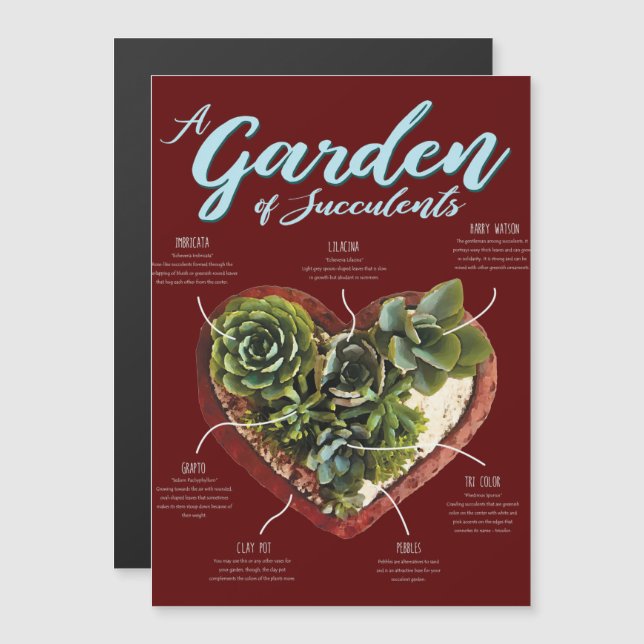Convite Jardim De Sucultivos (Frente/Verso)