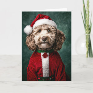 Convite Labradoodle em Festas de Natal Festivas