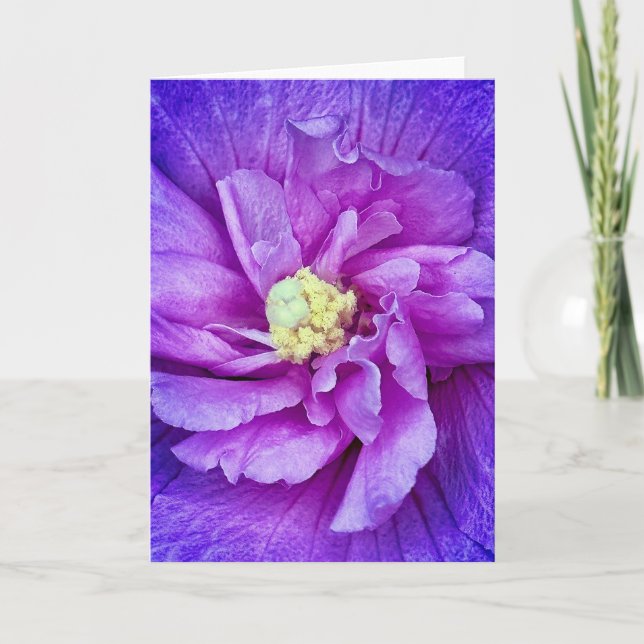 Convite Lavanda Chiffon Hibiscus Vazio (Frente)