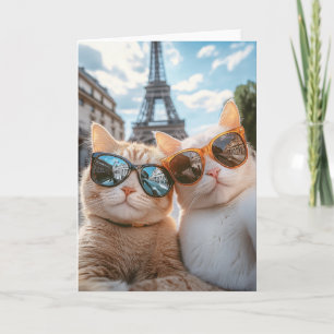 Convite Legal Gatos em Paris
