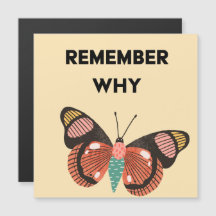 Lembre-se por que a borboleta magnética